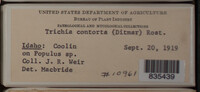 Image Associated With the Occurence